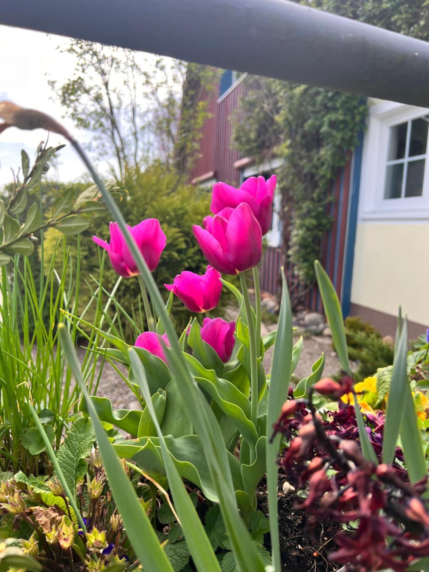 Am Flussgarten エリスキルヒ エクステリア 写真