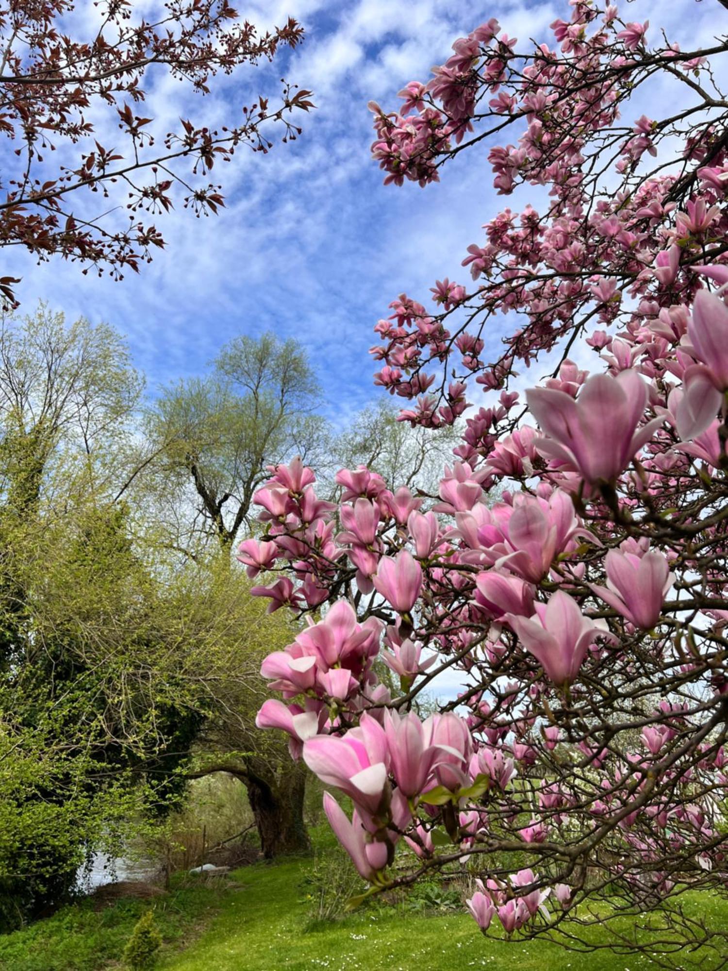 Am Flussgarten エリスキルヒ エクステリア 写真