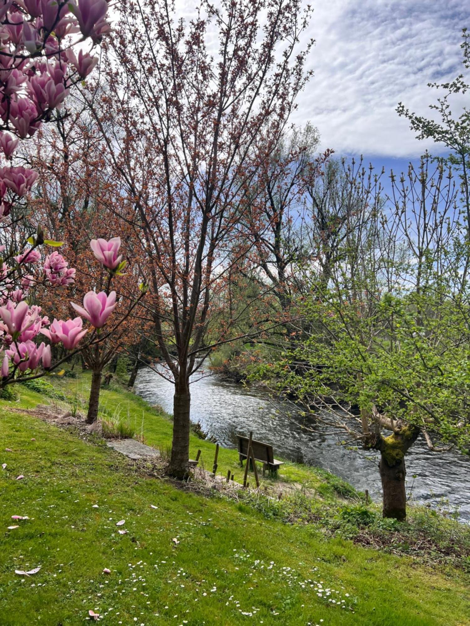 Am Flussgarten エリスキルヒ エクステリア 写真