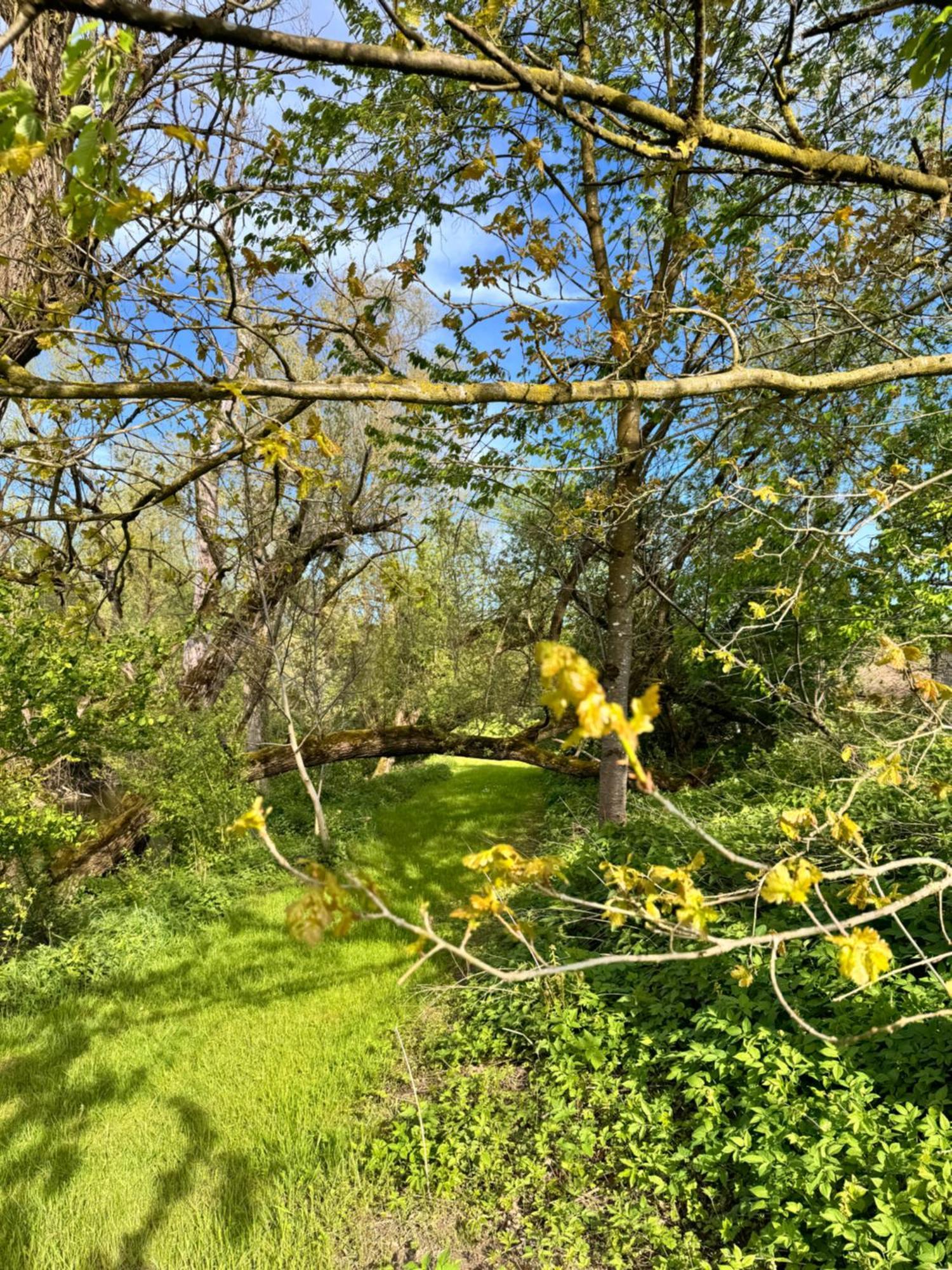 Am Flussgarten エリスキルヒ エクステリア 写真