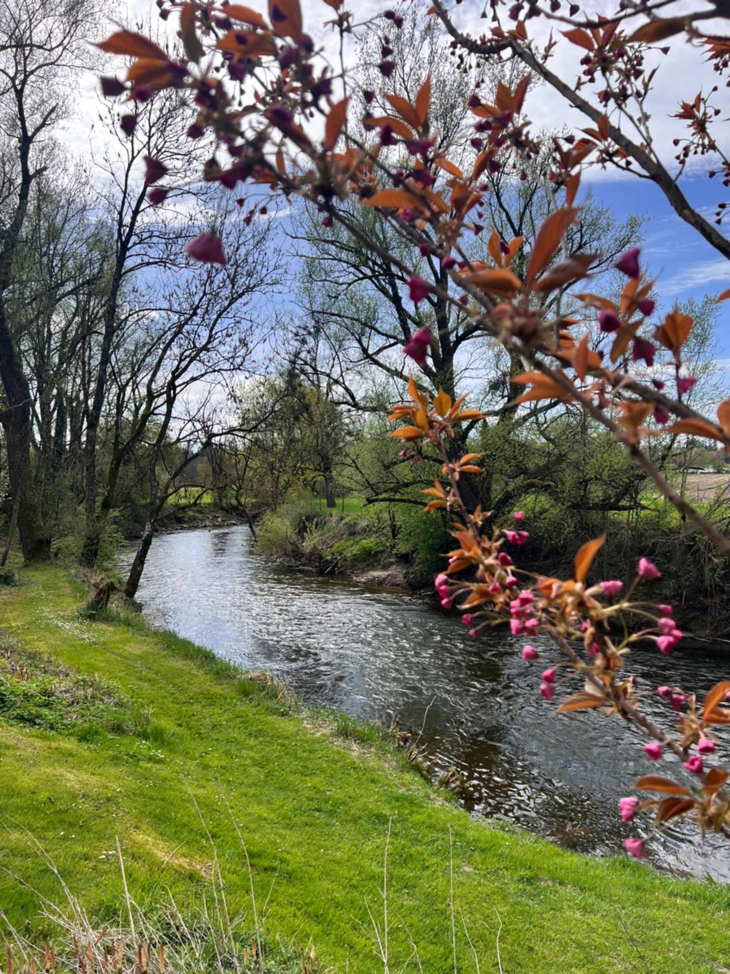 Am Flussgarten エリスキルヒ エクステリア 写真