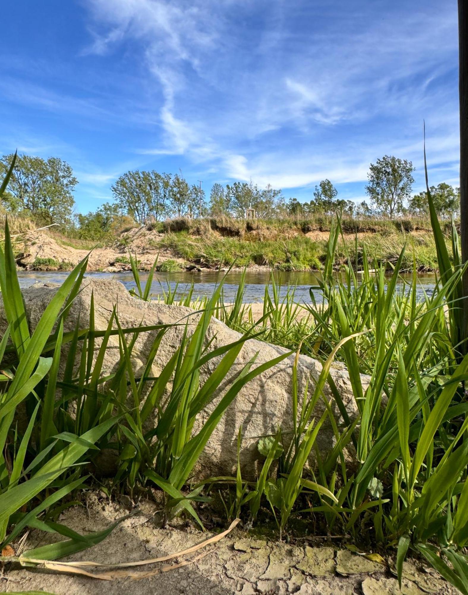 Am Flussgarten エリスキルヒ エクステリア 写真
