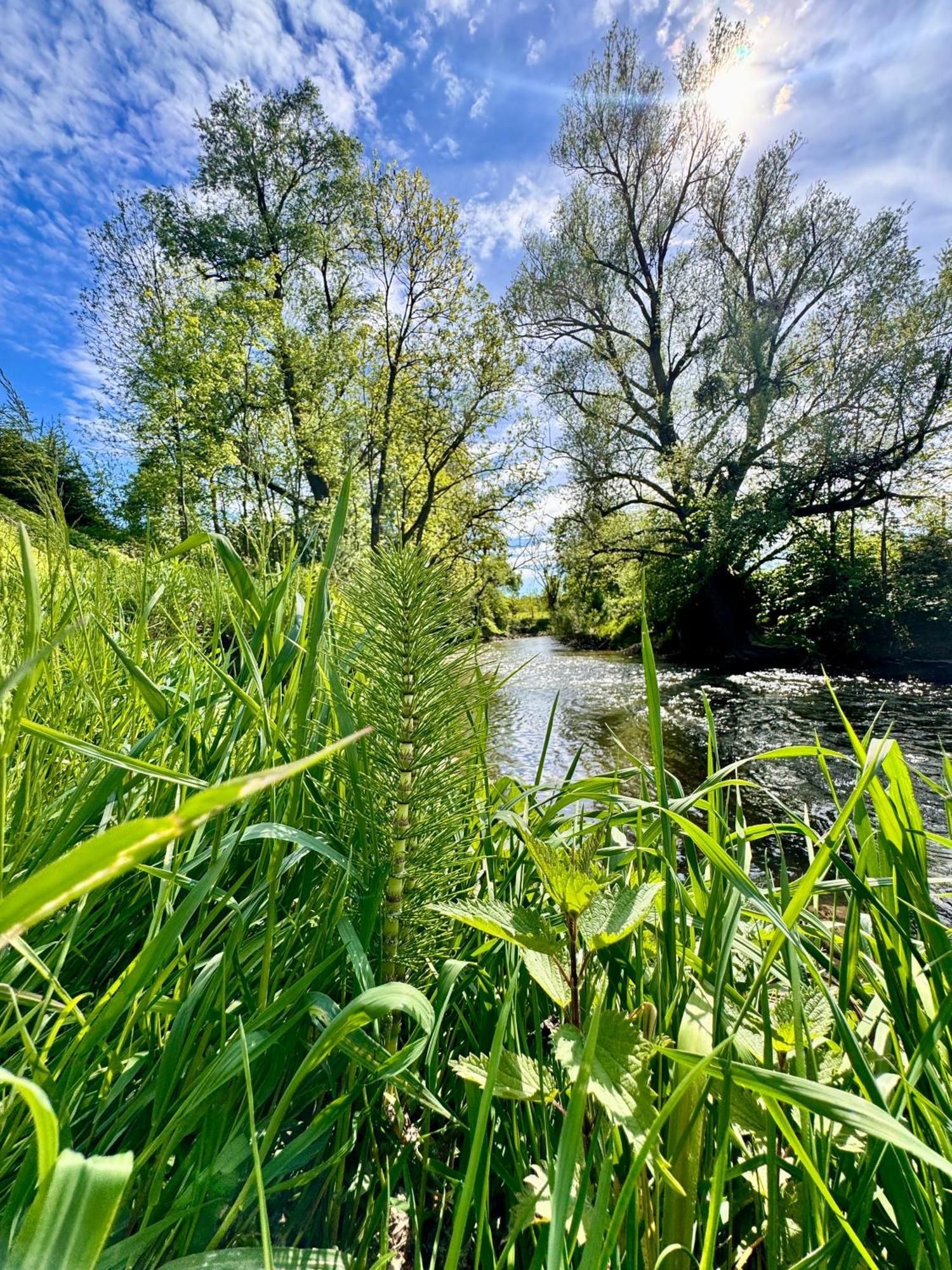 Am Flussgarten エリスキルヒ エクステリア 写真